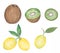 Tropical hand drawn Fruit Clipart, Watercolor Summer Food illustration, Kiwi Exotic Fruits and lemon clip art set, citrus,