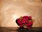 Tropical hand made clay art flower kept on wooden surface