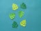 Tropical Handcrafted Papercraft Nature Petals.Hobby of paper sheet. Children`s creativity.