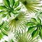 Tropical Hawaii leaves palm tree pattern in a watercolor style.