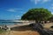 Tropical Hawaiian Beach - Kauai