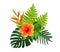 Tropical hibiscus and Strelitzia reginae flowers on green monstera and fern leaves plant bush isolated on white