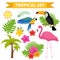 Tropical icon set with birds and flowers, flat, cartoon style. Exotic collection of design elements with toucan, parrot