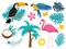 Tropical icon set with birds and flowers, flat, cartoon style. Exotic collection of design elements with toucan, parrot