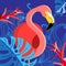 Tropical illustration with a portrait of a red flamingo