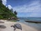 Tropical island beach and giant turtle, Seychelles