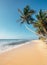 Tropical island beach white sandy classic view ocean vertical view