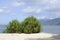 Tropical Island coast trees, grasses vegetation