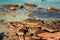 A tropical island with crystal clear seawater. rocks with millenniums mark the oceans and their waves at Long Beach Redang Islands