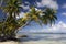 Tropical Island Paradise - Cook Islands