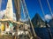 Tropical Island Paradise Viewed from a Sailing Ship in the Harbor