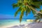 Tropical island with sandy beach, palm trees and tourquise clear water