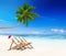 Tropical Island Summer Beach Coconut Concept
