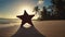 Tropical island sunrise. Sandy beach, palm trees and starfish, video