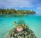 Tropical islet with anemone fish underwater