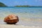 Tropical islet with blurred coconut in foreground