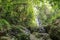 Tropical jungle hiding a waterfall. Huge pieces of rock falling into a river bed in front of a waterfall. Boulders with moss