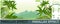 Tropical jungle landscape. Plants, shrubs and palms. Image from layers for overlay with parallax effect. Cartoon flat