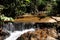 Tropical jungle in Phuket, Thailand. Waterfall in National Park.