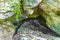 Tropical jungle plants trees rocks stones cave cenote Muyil Mexico