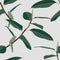 Tropical jungle seamless pattern with abstract ficus trees branches, white background for wedding, quotes, Birthday and invitation