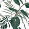 Tropical jungle seamless pattern with abstract ficus trees and palm leaves branches, white background