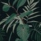 Tropical jungle seamless pattern with ficus trees, palm leaves, black background.