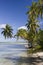 Tropical lagoon - French Polynesia