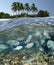 Tropical lagoon in the Maldives