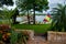 Tropical lakefront view with palms and sailboat in