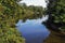 Tropical Landscape, Bosque da Barra, Rio de Janeiro