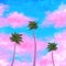 Tropical landscape cloud pink and blue sky and coconut tree background