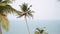Tropical landscape: coconut trees, blue sea and sky