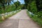 Tropical landscape with empty road and green roadside. Tropic forest travel by bike.