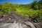 Tropical landscape with granite rocks