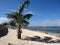 Tropical landscape with green palm on white sandy beach blue ocean sky with clouds