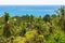 Tropical landscape with green palms and vibrant blue sea water