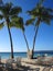 Tropical landscape with green palms on white sandy beach blue ocean water and sky with clouds