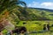 Tropical landscape of La Gomera island