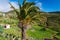 Tropical landscape of La Gomera island