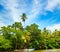 Tropical landscape. Lake, coconut palms and mangroves. Sri Lanka