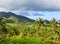 Tropical landscape with palm tree and mountain. Blue sky view with coco palm trees.