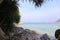 Tropical landscape with palms, ocean and ships in background.