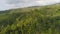 Tropical landscape rainforest and mountains