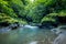 Tropical landscape. River in jungle. Soft focus. Slow shutter speed, motion photography. Nature background. Environment concept.