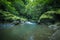 Tropical landscape. River in jungle. Soft focus. Slow shutter speed, motion photography. Nature background. Environment concept.