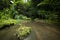 Tropical landscape. River in jungle. Soft focus. Slow shutter speed, motion photography. Ubud, Bali, Indonesia