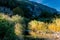 Tropical landscape, shady river valley with reeds