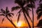 Tropical landscape at sunset. Palm trees on sky background. White beach. Boracay. Philippines.