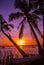 Tropical landscape at sunset. Palm trees on sky background. White beach. Boracay. Philippines.